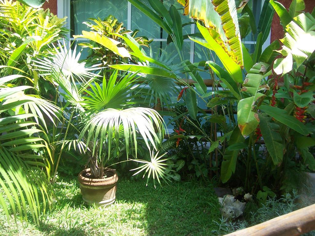 Apartamento Elements Of The Island Isla Mujeres Exterior foto